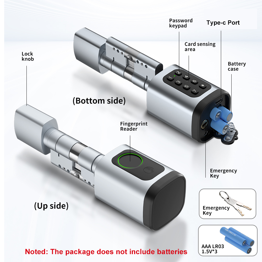 Cerradura electrónica intelige - Home Automation System Diy reseña y precio