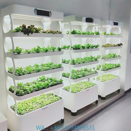 Sistema de cultivo automatizad - Home Automation Systems Diy reseña y precio
