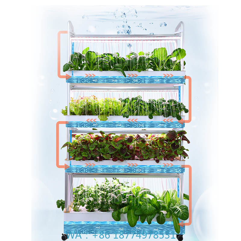 Sistema de plantación ydroponi - Home Automation System Diy reseña y precio