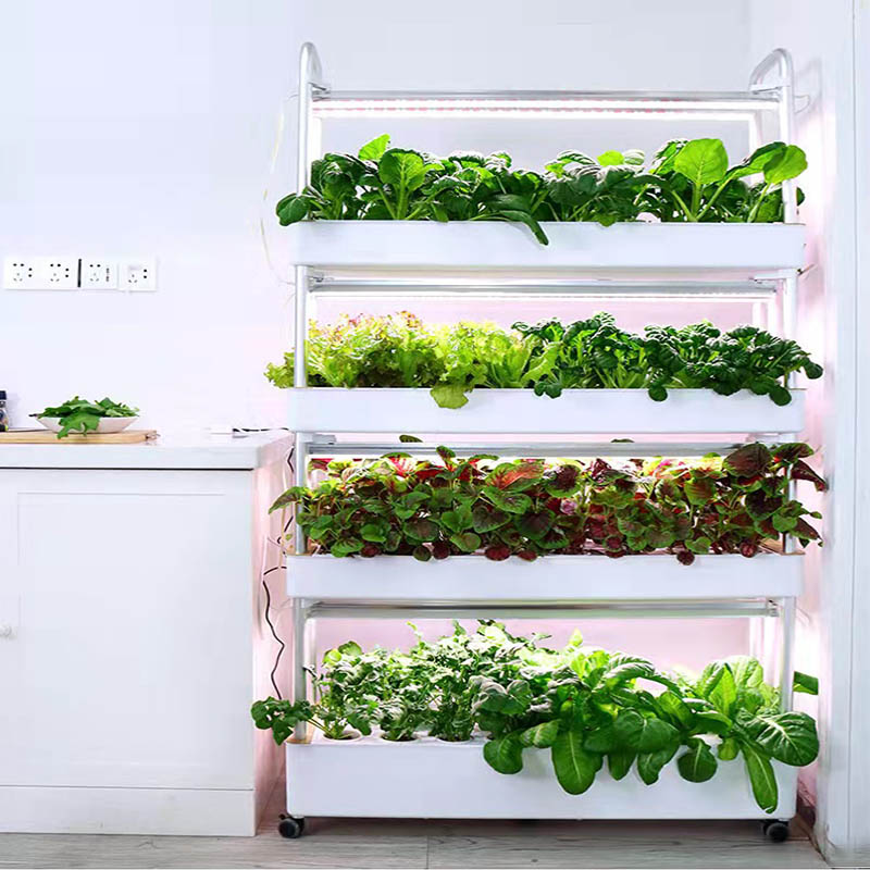 Sistema de plantación ydroponi - Home Automation System Diy reseña y precio