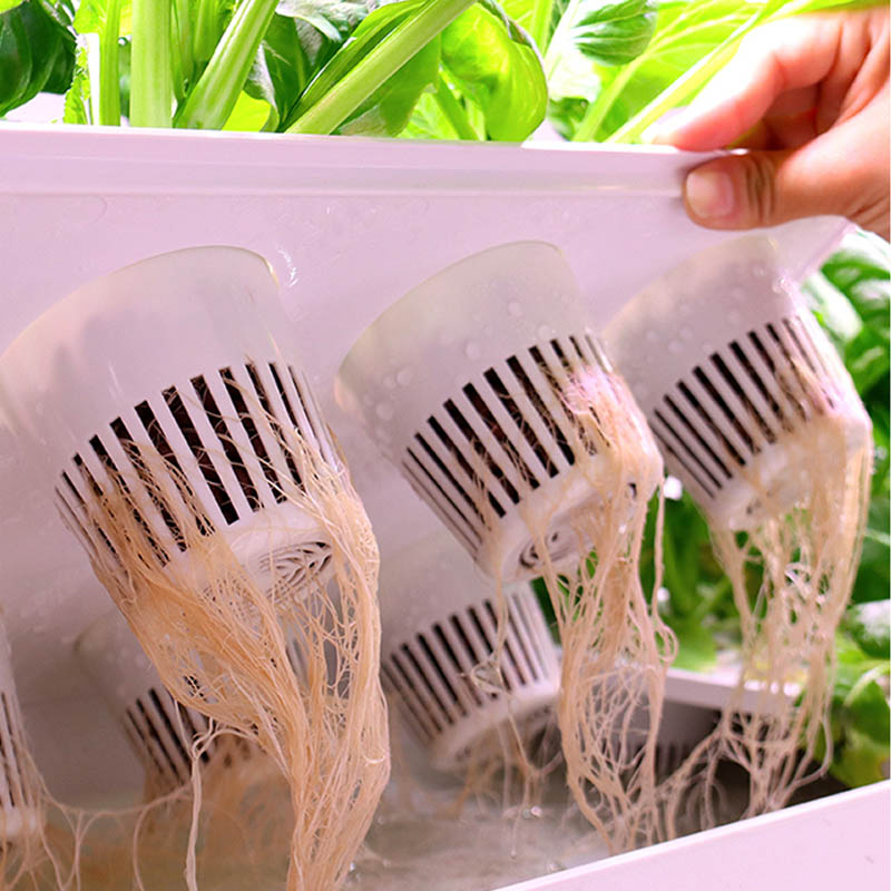 Sistema de plantación ydroponi - Home Automation System Diy reseña y precio